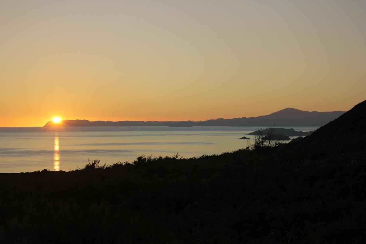 Eagle'S Roost Farmstay B&B Rocky Cape Bagian luar foto