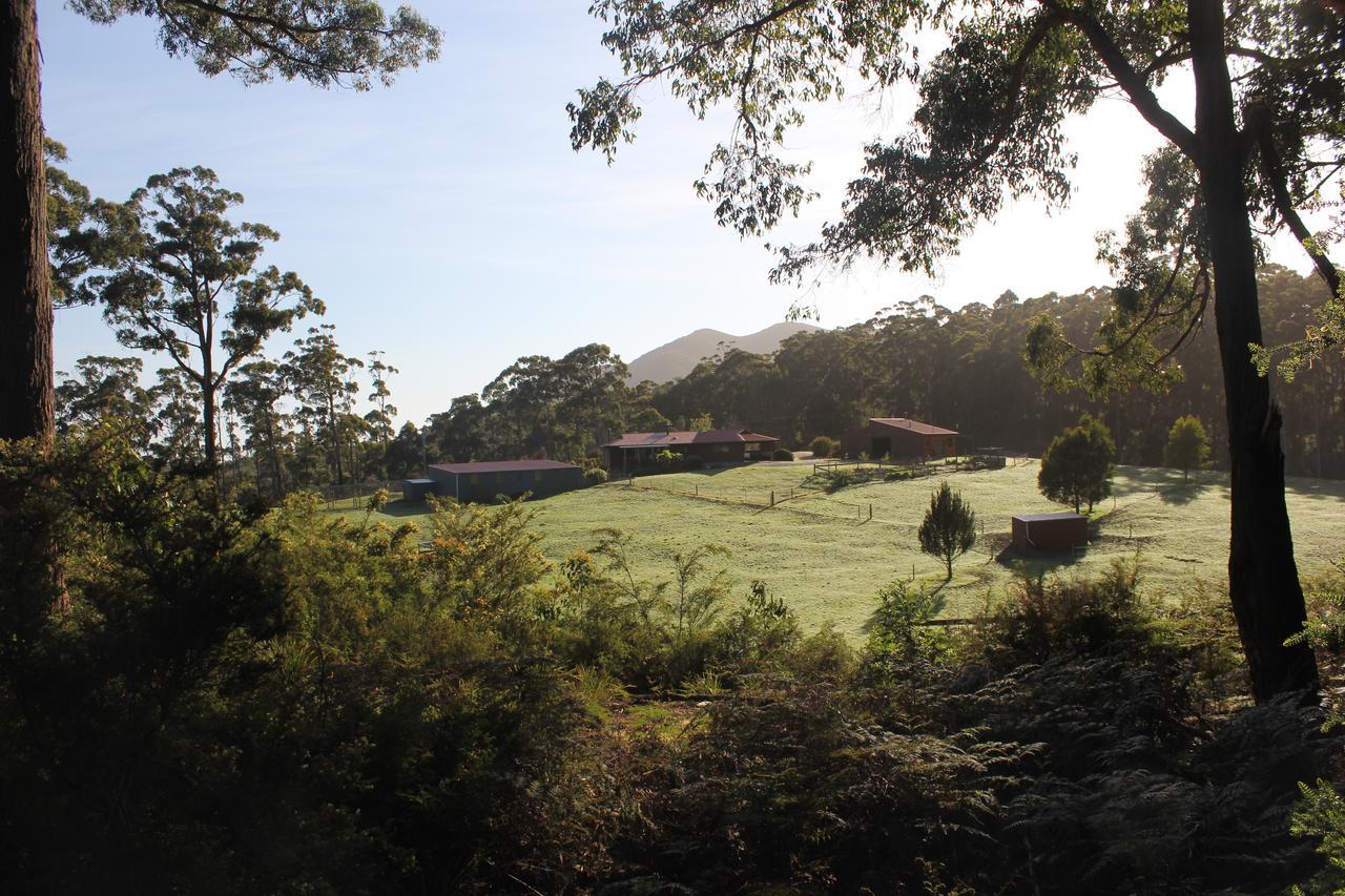 Eagle'S Roost Farmstay B&B Rocky Cape Bagian luar foto