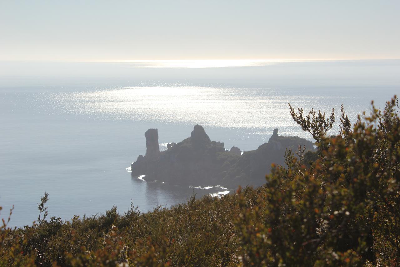 Eagle'S Roost Farmstay B&B Rocky Cape Bagian luar foto