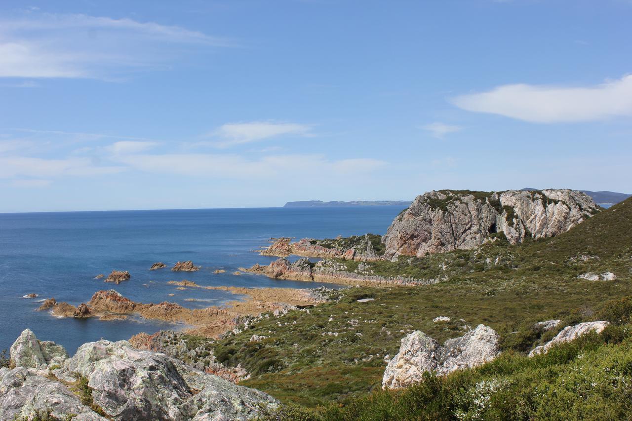 Eagle'S Roost Farmstay B&B Rocky Cape Bagian luar foto